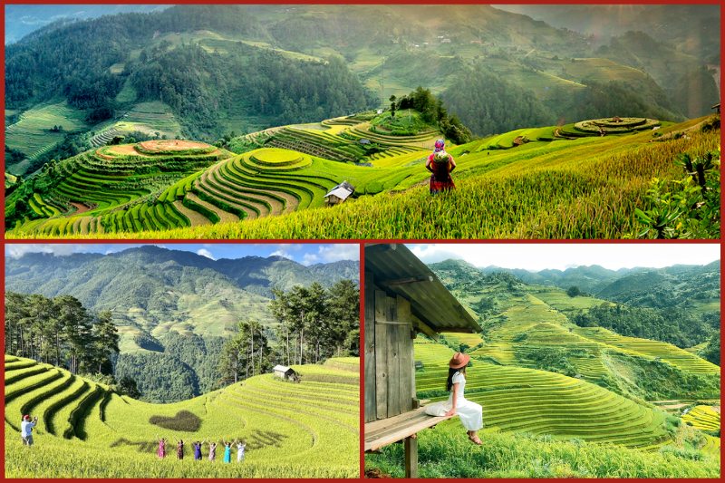 Green rice season Mu Cang Chai